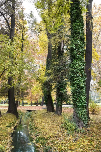 Het Park Herfst Met Kleine Kreek Gebladerte — Stockfoto