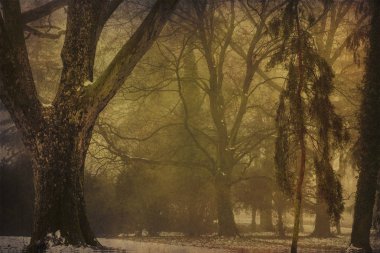 Park sonra grungy arka plan üzerinde ilk kar kış