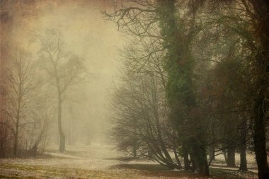 Park sonra grungy arka plan üzerinde siste ilk kar kış