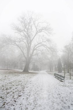 Sonra sis ilk karda kışın boş park
