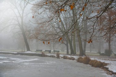 Sonra sis ilk karda donmuş göl ile Aralık ayında Park
