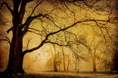 Ağaç yaprakları kahverengi zemin üzerinde olmadan kışın