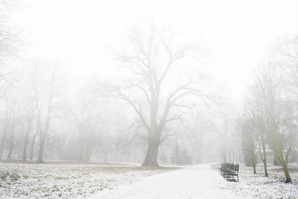 Niebla Pesada Parque Después Primera Nieve Diciembre — Foto de Stock