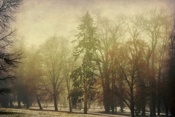 Kar leaveless ağaçlar parkta ilk sonra grungy arka plan üzerinde siste