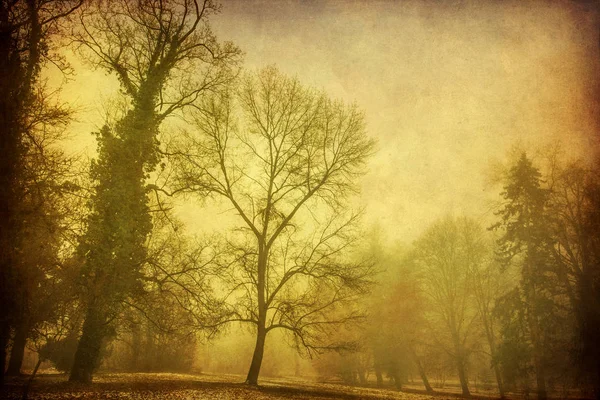 Kış grungy arka plan üzerinde ilk kar sonra parkta siste