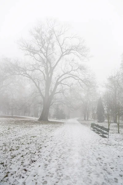 Sonra sis ilk karda kışın boş park