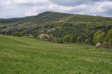 Çayır ve dağ ile renkli ağaçlar ilkbaharda