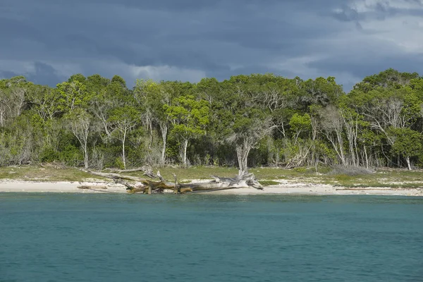 Karayip Denizi Turkuaz Avuç Içi Ile Saona Adası Yakın — Stok fotoğraf