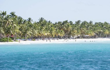Karayip Denizi turkuaz su ve avuç içi ile Saona Adası'na yakın