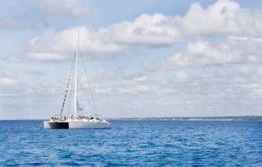 Karayip Denizi turkuaz su ve avuç içi ile Saona Adası'na yakın