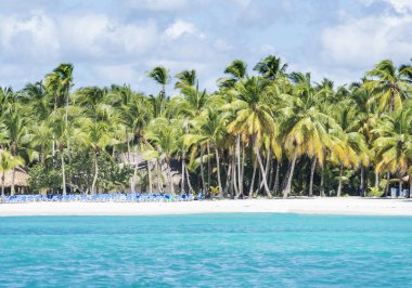 Karayip Denizi turkuaz su ve avuç içi ile Saona Adası'na yakın