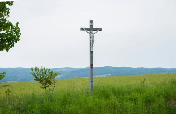 Krucyfiks Zielonym Polu Symbol Chrześcijaństwa — Zdjęcie stockowe