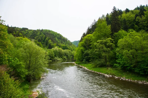 Rivier Bergen Het Voorjaar — Stockfoto