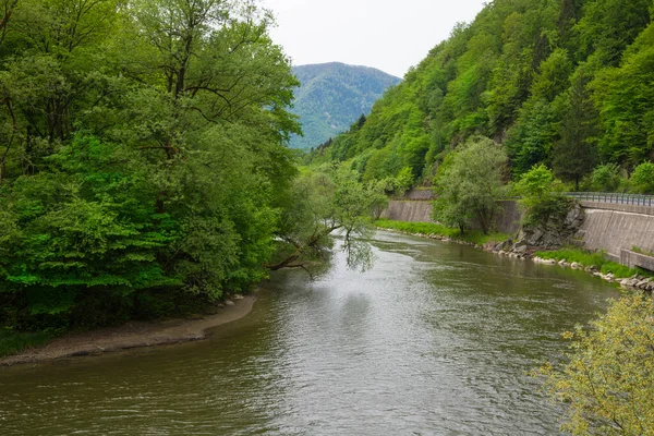 Río Montaña Primavera — Foto de Stock