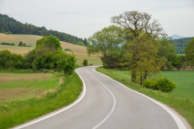Orta Avrupa 'da baharda yeşil vadi.