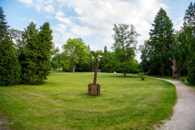 Yazın çimleri biçilmiş park