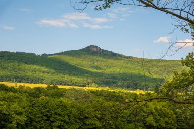 Öğlen kırsal kesimde. Tepenin eteğindeki ağaçların ve tarlaların olduğu kırsal alan..