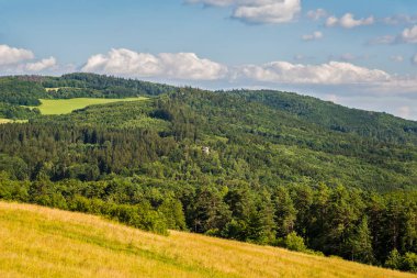 Öğlen kırsal kesimde. Tepenin eteğindeki ağaçların ve tarlaların olduğu kırsal alan..