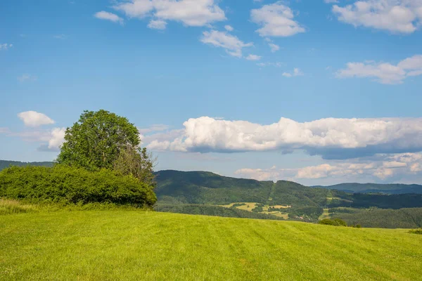 Öğlen kırsal kesimde. Tepenin eteğindeki ağaçların ve tarlaların olduğu kırsal alan..