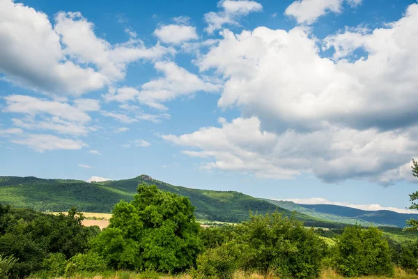 Öğlen kırsal kesimde. Tepenin eteğindeki ağaçların ve tarlaların olduğu kırsal alan..