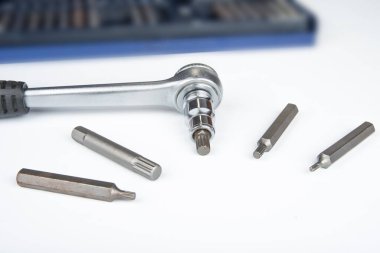 Beyaz arkaplanda torx bitleri olan cırcırböceği