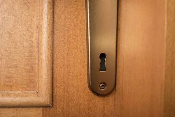 Door plate with handle on a wooden door