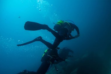 Üç dalgıçlar daldırma, fuerteventura canari Adaları