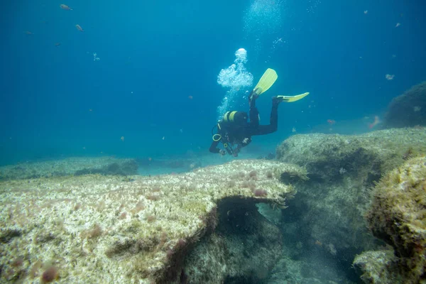 Mergulhadores Imersão Perto Recife Fuerteventura Ilhas Canárias — Fotografia de Stock