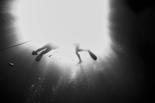 Divers Returns Surface Fuerteventura Canary Islands — Stock Photo, Image