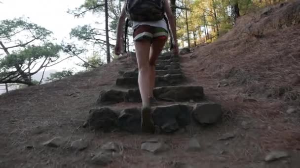 Jovem mulher ativa caminhando ao longo da bela floresta verde Taburiente National Park — Vídeo de Stock