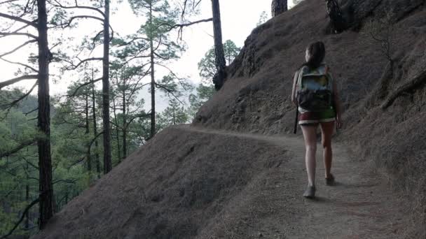 Joven mujer activa Senderismo a lo largo del hermoso bosque verde Parque Nacional Taburiente — Vídeos de Stock