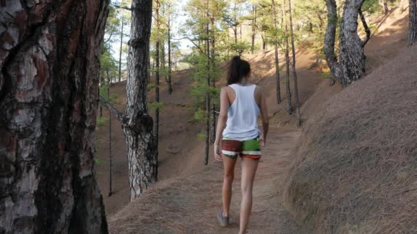 Fiatal aktív nő túrázás mentén gyönyörű zöld erdő Taburiente Nemzeti Park — Stock videók