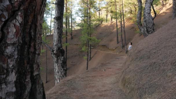 Mladá aktivní žena pěší turistika podél krásného zeleného lesa v národním parku Taburiente — Stock video