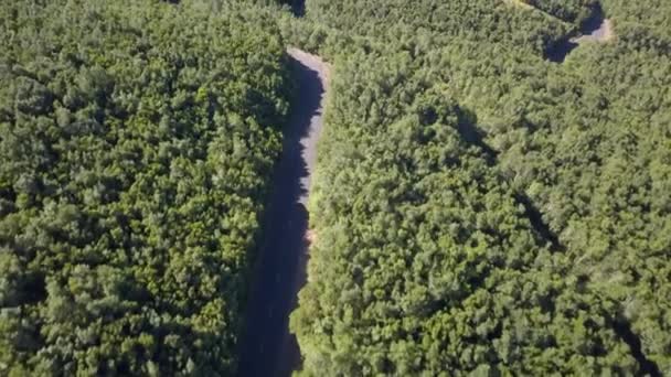 Widok z góry na piękną drogę przez zielony las — Wideo stockowe