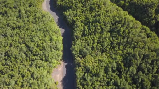 Vista aérea de la parte superior de la hermosa carretera a través del bosque verde — Vídeos de Stock