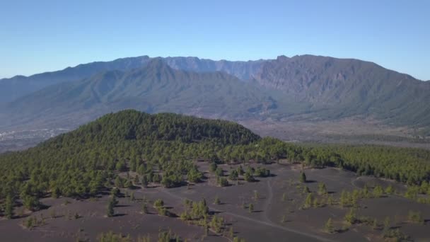 Paisaje volcánico y bosque de pinos — Vídeos de Stock