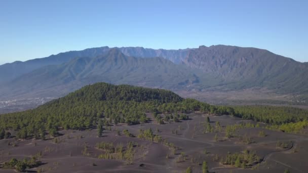 Paisaje volcánico y bosque de pinos — Vídeos de Stock