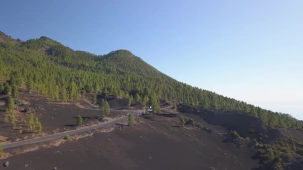 Вулканический ландшафт и сосновый лес — стоковое видео
