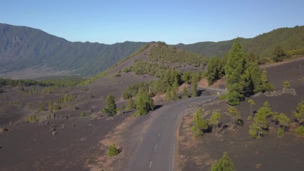 Вулканический ландшафт и сосновый лес — стоковое видео