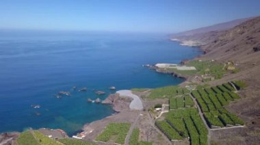 La Palma Adası'nda muz yetiştiriciliği, Kanarya Adaları, İspanya