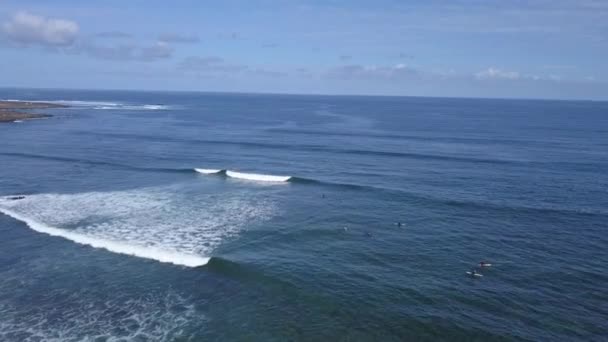 A view from above of the surfers in the ocean — Stock Video