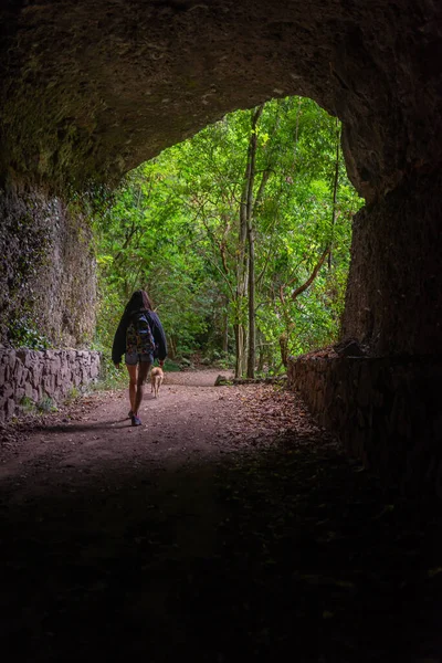 Nacientes Marcos y Cordero Trail, La Palma — Stock Photo, Image