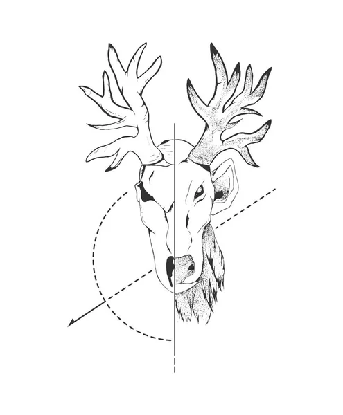 Konsep rusa seni Vektor tangan ditarik setengah tengkorak kepala dan wajah ilustrasi pada latar belakang putih - Stok Vektor