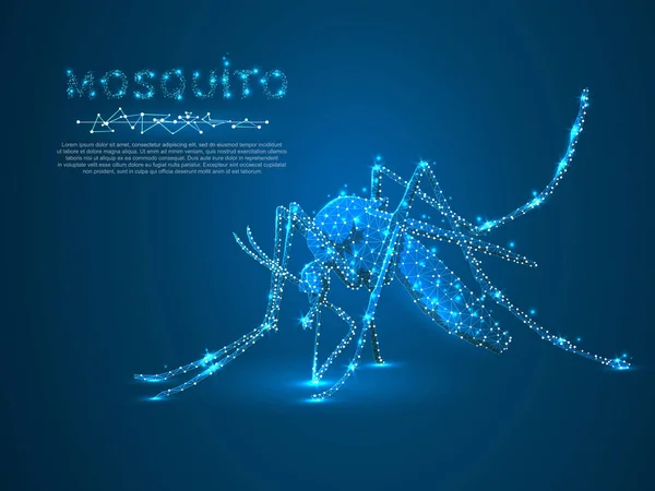 Mosquito, dat bloed, veelhoekige ruimte zuigt laag poly met het aansluiten van de punten en lijnen. Malaria concept. Verbinding draadframe structuur. Vector op donker blauwe achtergrond — Stockvector