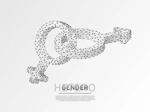 Male Female Gender Symbols Wireframe Digital Illustration Low Poly Men — Stock Vector