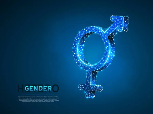 Male Female Gender Symbols Wireframe Digital Illustration Low Poly Men — Stock Vector