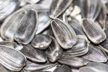 Siyah tohum ayçiçeği gıda