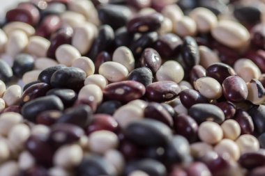 Kırmızı fasulye karışımı. Madde