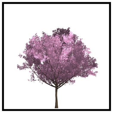 Beyaz arka plan üzerinde ağaç illüstrasyon