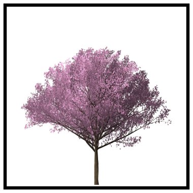 Beyaz arka plan üzerinde ağaç illüstrasyon